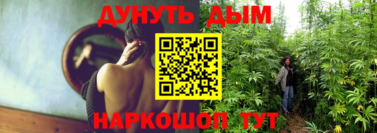 Шишки марихуана марихуана Нововоронеж